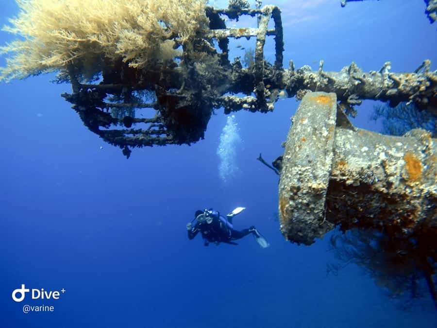 Pivate scuba diving in the Red Sea of Aqaba - Key points to know before booking