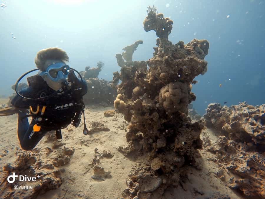 Pivate scuba diving in the Red Sea of Aqaba - A first underwater breath in Aqaba