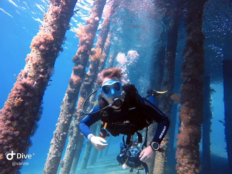Pivate scuba diving in the Red Sea of Aqaba - Why the private format matters for beginners