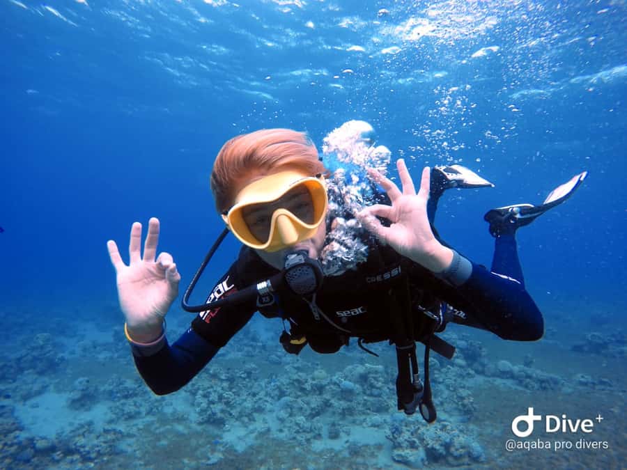 Pivate scuba diving in the Red Sea of Aqaba - Is $54 a fair price?