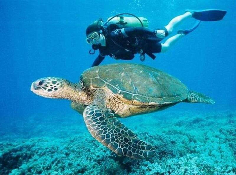 Playa del Carmen: Cenote Diving for Certified Divers - What the guide and group size mean