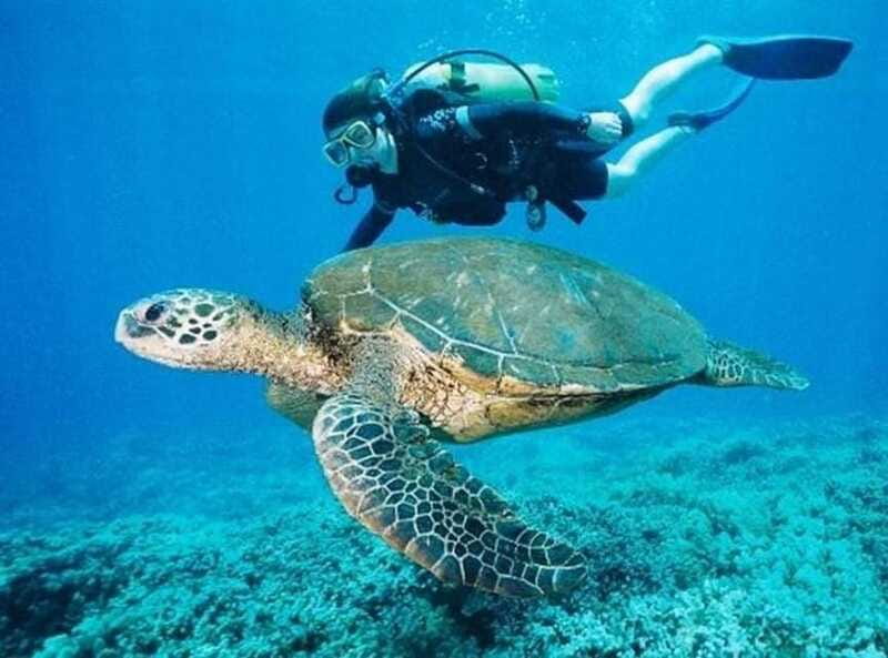 Playa del Carmen: Cenote Diving for Certified Divers - Is $210 a fair price?
