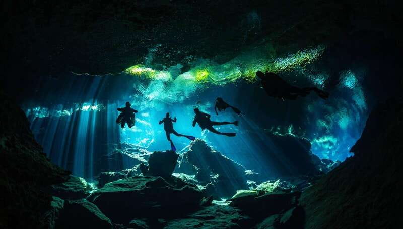 Playa del Carmen: Cenote Diving for Certified Divers - A closer look at the cenote setting