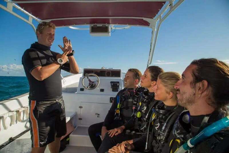 Playa del Carmen: Discovery Scuba Diving - Non Certified - What makes the local reefs a good first setting