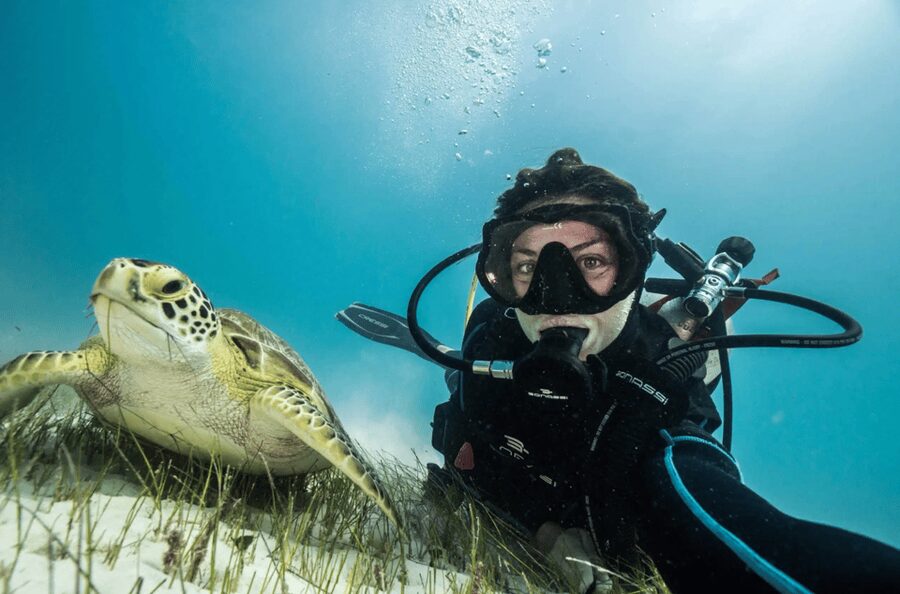 Playa del Carmen: Guided Reef Diving for Certified Divers - What the price includes, and what it does not