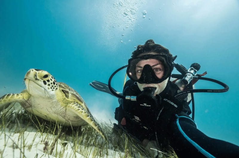 Playa del Carmen: Guided Reef Diving for Certified Divers - Starting with safety, gear, and a confidence check