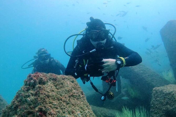 Pleasure Scuba Diving in Fujairah for Certified Diver - Key points to know before booking