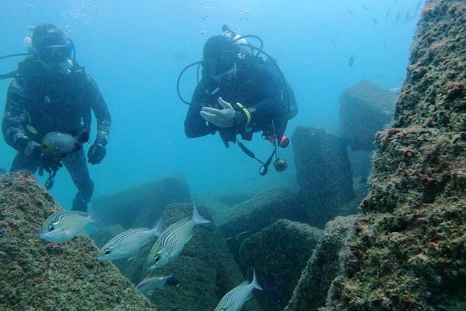Pleasure Scuba Diving in Fujairah for Certified Diver - Two boat trips, two different sites