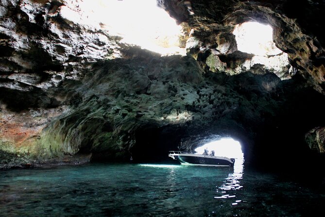 Polignano a Mare boat tour emotions, caves, diving and appetizers - Is $42.33 a fair price?