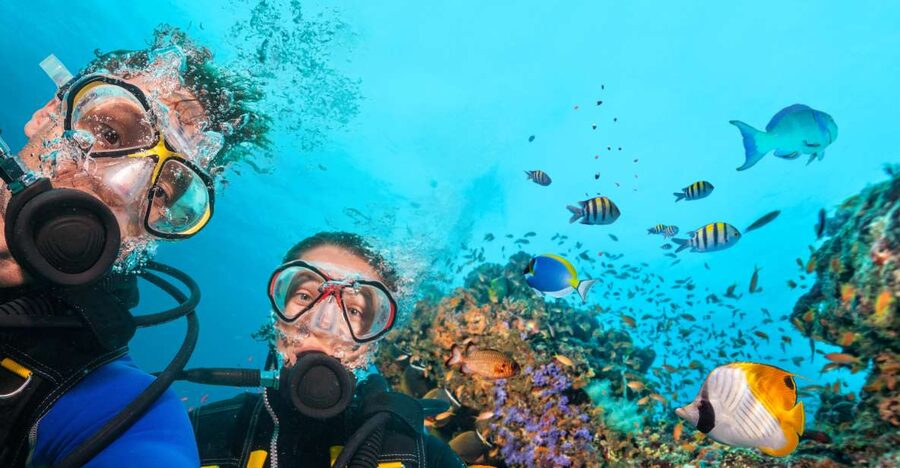 Polignano a Mare: Scuba Experience with certification - The water, light, and seabed at Polignano a Mare