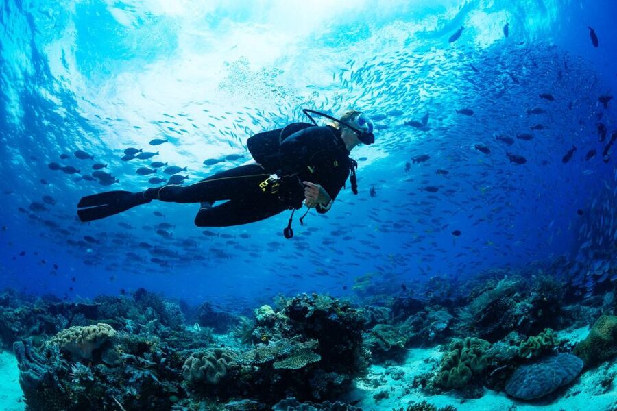 Polignano a Mare: Scuba Experience with certification - What the two-hour session includes