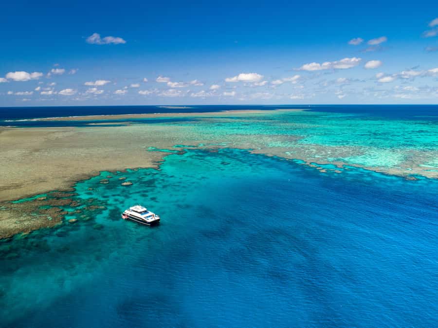 Port Douglas: Outer Barrier Reef Snorkel and Dive Options - Key points at a glance