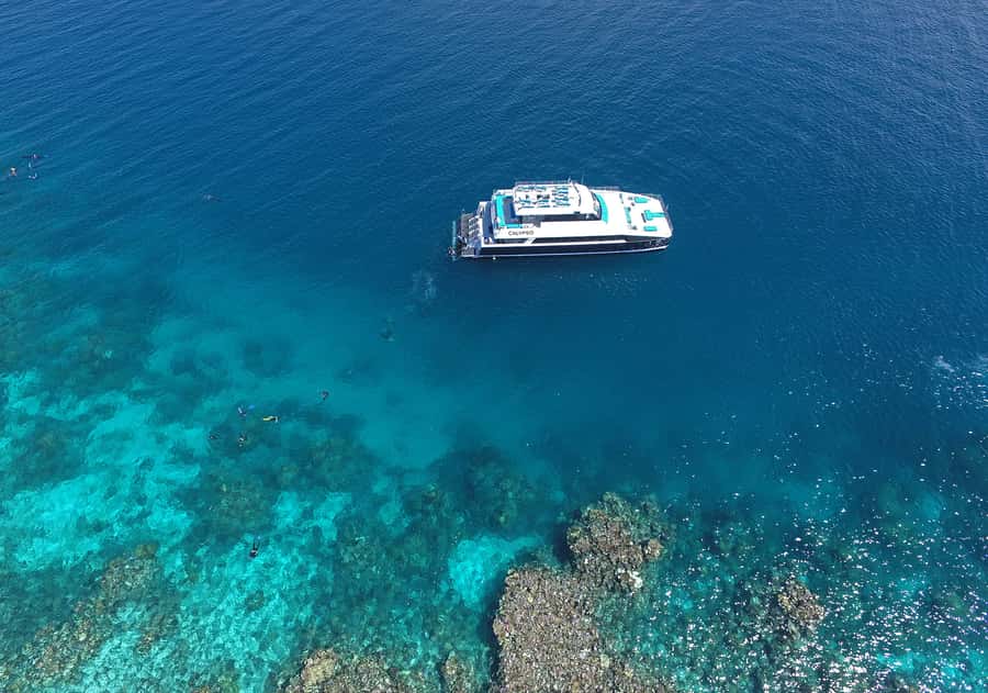 Port Douglas: Outer Barrier Reef Snorkel and Dive Options - Second reef stop: the longest water session