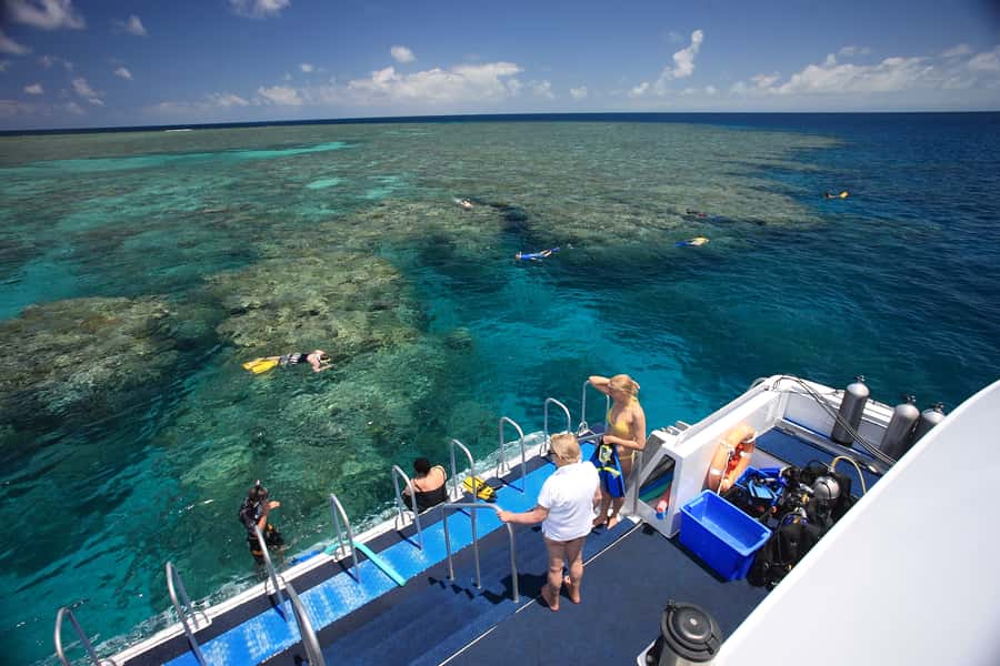 Port Douglas: Outer Barrier Reef Snorkel and Dive Options - Third stop: time to choose your pace