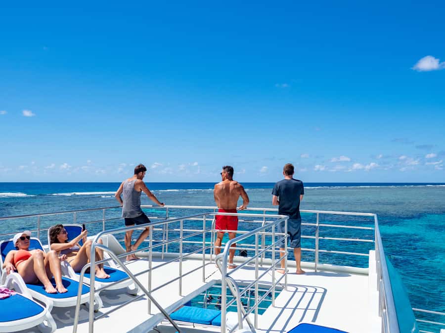 Port Douglas: Outer Barrier Reef Snorkel and Dive Options - Is the $174 price good value?