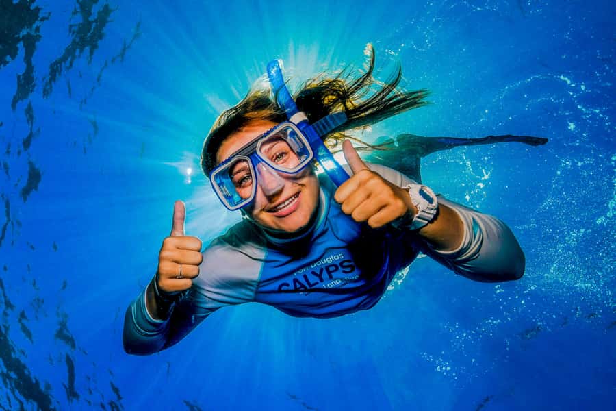 Port Douglas: Outer Barrier Reef Snorkel and Dive Options - Who should book this reef trip?