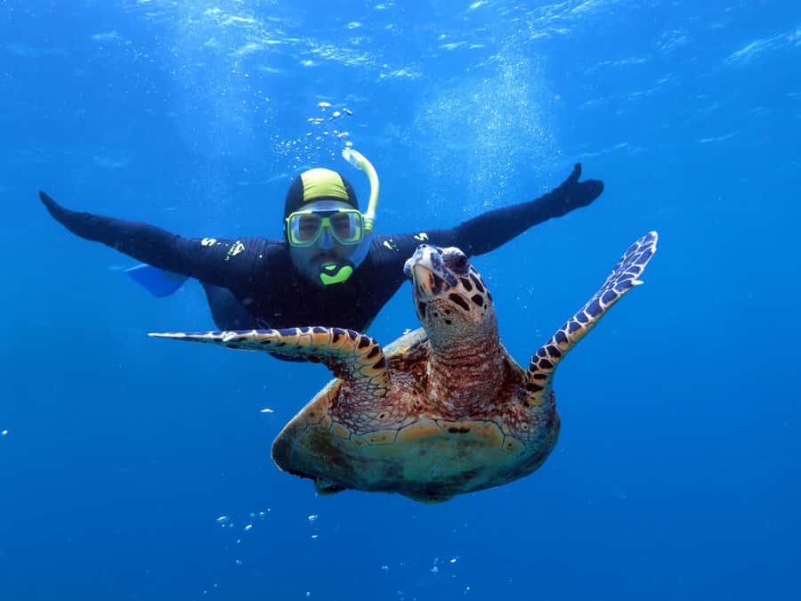 Port Douglas: Poseidon Outer Barrier Reef Dive and Snorkel - Key points to know before booking