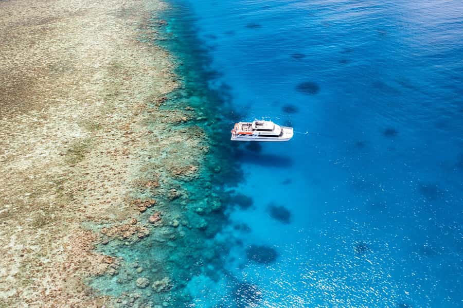 Port Douglas: Poseidon Outer Barrier Reef Dive and Snorkel - The morning cruise from Port Douglas