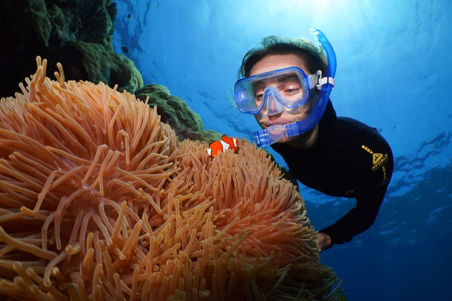 Port Douglas: Silversonic Great Barrier Reef Dive & Snorkel - Boarding at Crystalbrook Marina