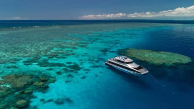 Port Douglas: Silversonic Great Barrier Reef Dive & Snorkel