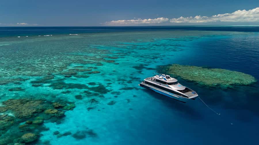 Port Douglas: Silversonic Great Barrier Reef Dive & Snorkel - Three reef sites make the day feel varied