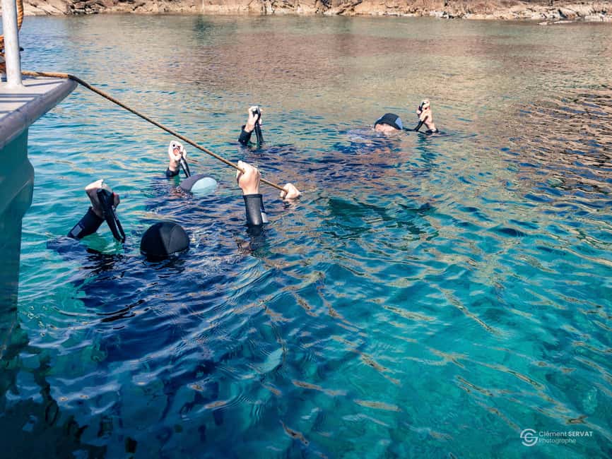 Porto-Vecchio: beginner diving in the Cerbicale Islands in the reserve - A calm first step into Corsica’s underwater world