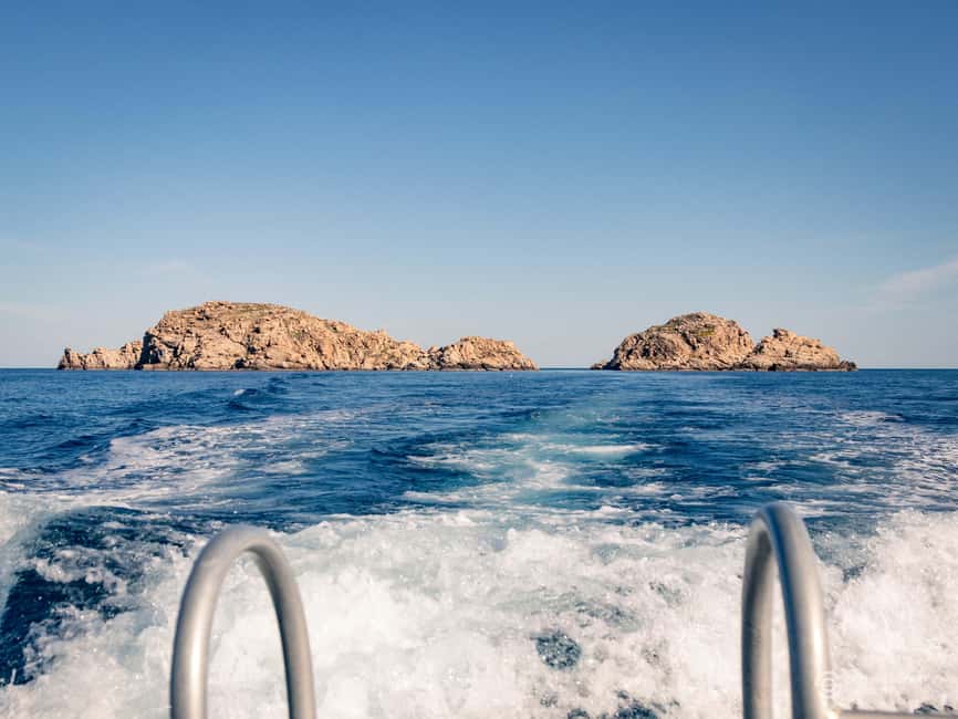 Porto-Vecchio: beginner diving in the Cerbicale Islands in the reserve - Practical planning before you go