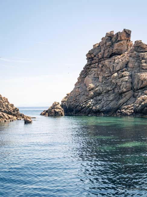 Porto-Vecchio: beginner diving in the Cerbicale Islands in the reserve - Returning to Porto-Vecchio by 5:00 p.m.