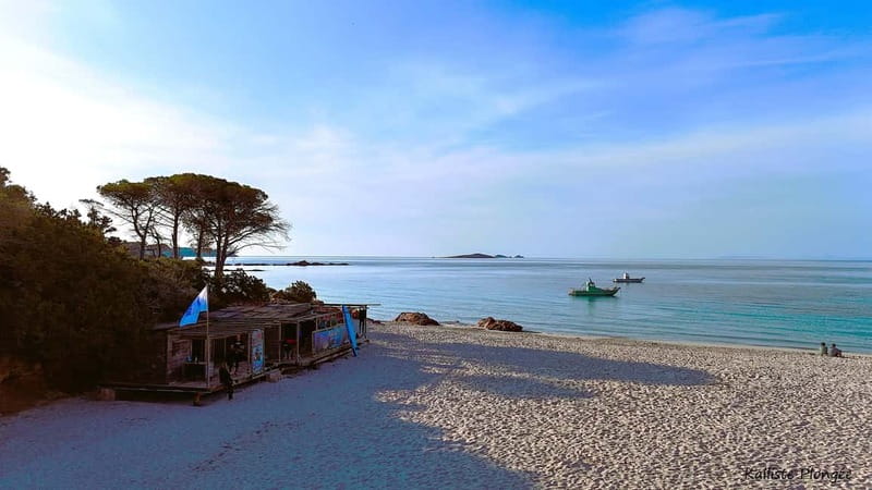 Porto-Vecchio: beginner diving in the Cerbicale Islands in the reserve - Is $171 a fair price?