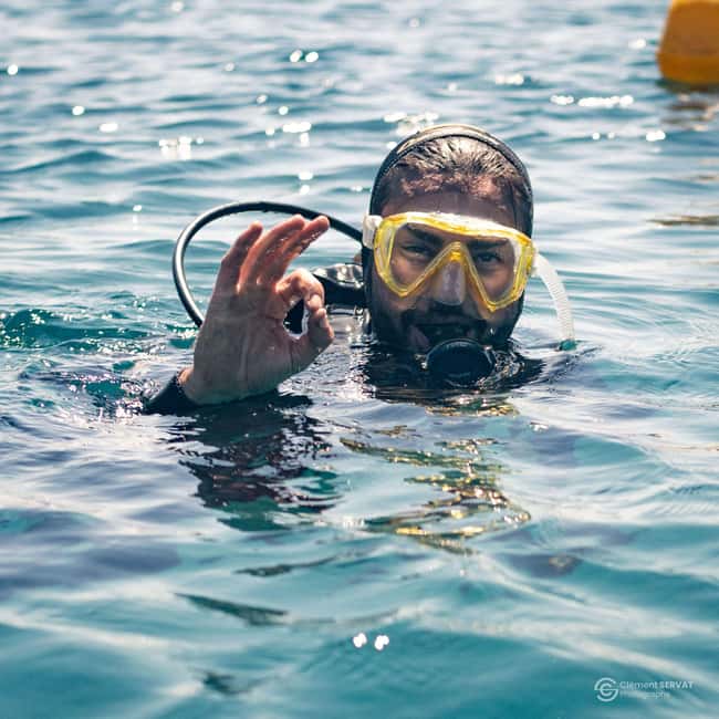 Porto-Vecchio: beginner diving in the Cerbicale Islands in the reserve - Who will get the most from this outing?