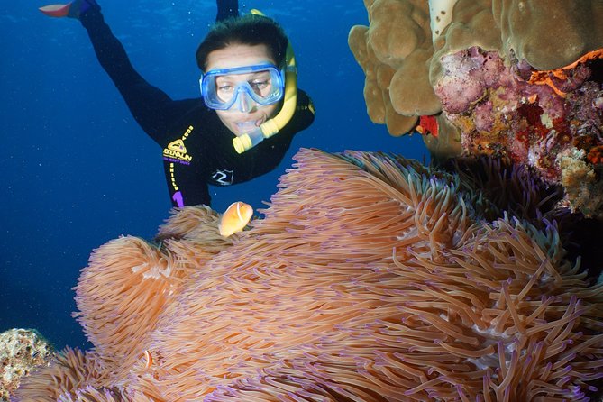 Poseidon Outer Great Barrier Reef Snorkeling and Diving Cruise from Port Douglas - Meals, drinks, and the long ride home