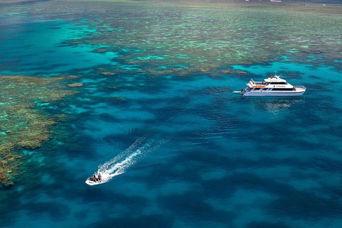 Poseidon Outer Great Barrier Reef Snorkeling and Diving Cruise from Port Douglas - Should you book Poseidon?