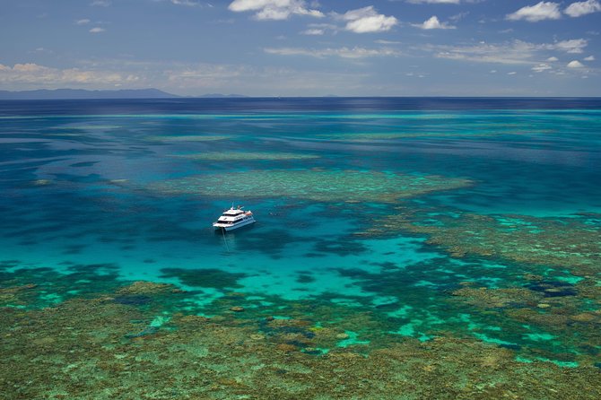 Poseidon Outer Great Barrier Reef Snorkeling and Diving Cruise from Port Douglas - Scuba choices for beginners and certified participants
