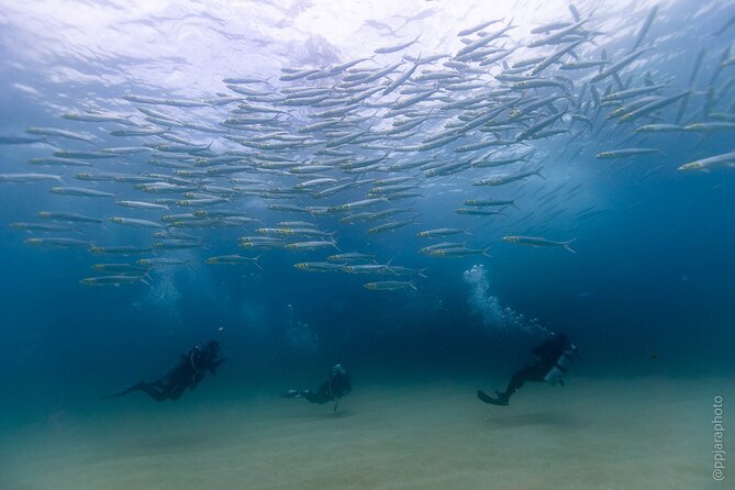 Private Beginner Scuba Diving Experience in Cabo San Lucas - What this Cabo scuba session is really like