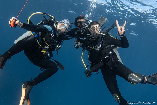 Private Beginner Scuba Diving Experience in Cabo San Lucas - Who should book this experience