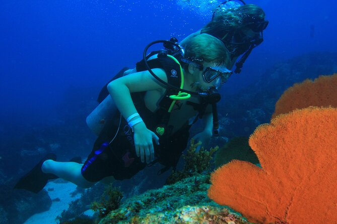 Private Beginner Scuba Diving Experience in Cabo San Lucas - Practical details that affect your day