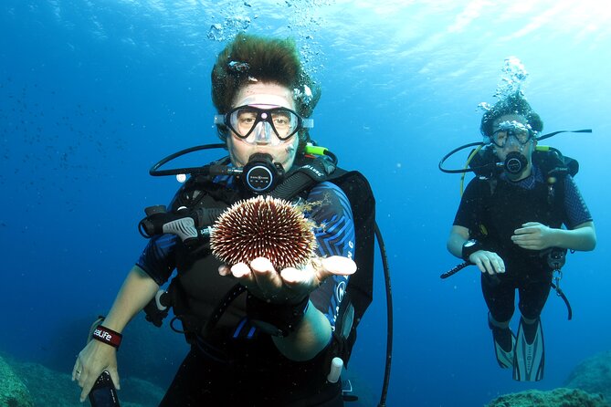 Private Discover Scuba Diving for Beginners in Athens with Pickup - What the Five Hours Really Include