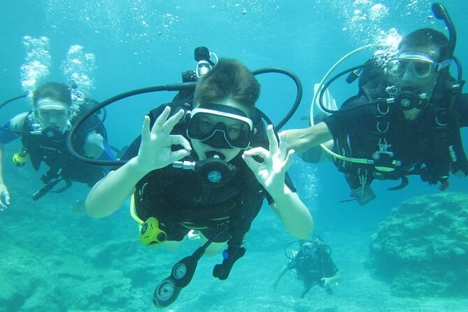 Private Discovery Dive + Photos & Videos - Green Bay Beach and the first underwater visit