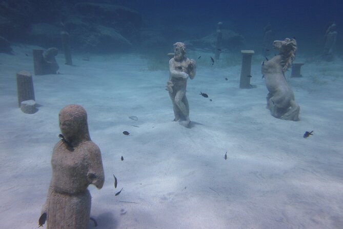 Private Discovery Dive + Photos & Videos - Who will get the most from this experience
