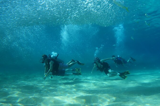 Private Dive Boat for Certified Divers - Cabo San Lucas - What the First Session Is Like