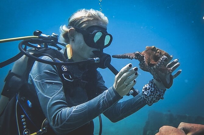Private Dive + videographer/Photographer (Certified divers only) - How the $120 price compares with the experience