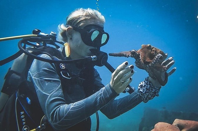 Private Dive + videographer/Photographer (Certified divers only) - Booking timing, weather, and cancellation