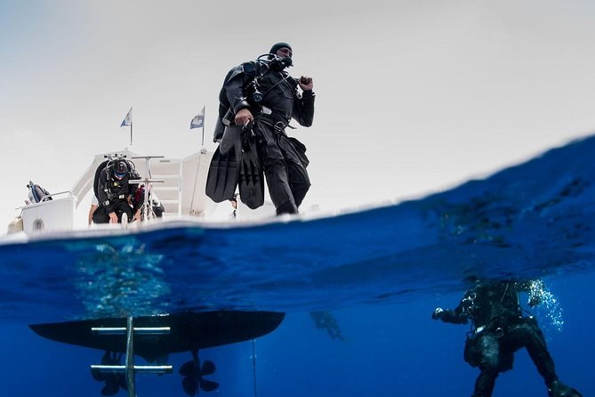 Private Diving at Zenobia Wreck in Larnaka - Key points to know before booking