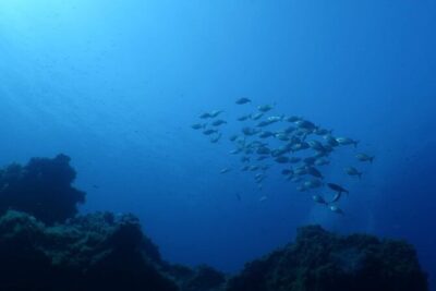 Private diving baptism in the Golf of Calvi