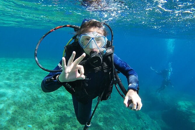 Private diving baptism in the Golf of Calvi - Is $114.02 a fair price?