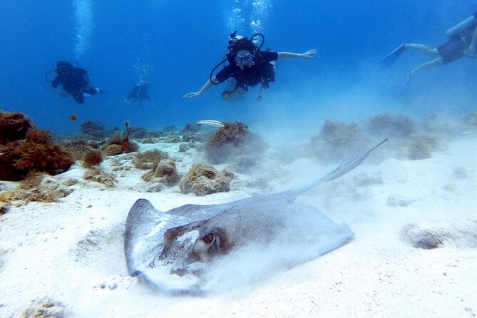 Private First-Time Dive on Aruba’s Reef and Wreck Site - Pickup, timing, and the flight rule