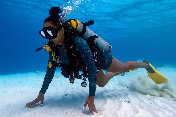 Private First-Time Dive on Aruba’s Reef and Wreck Site - Who should book this session