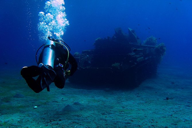 Private Intro Scuba Dive – Aqaba Coral Reefs - Why Aqaba is a good place for a first underwater session