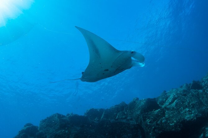 Private Niihau Scuba Charter with 2 or 3 Tank Dive Option - The early start at Kikiaola Harbor