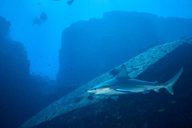 Private Niihau Scuba Charter with 2 or 3 Tank Dive Option - The return trip and what the full day feels like